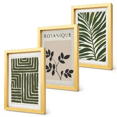 Juego de 3 cuadros decorativos composiciones botánicas al estilo minimalista bohemio