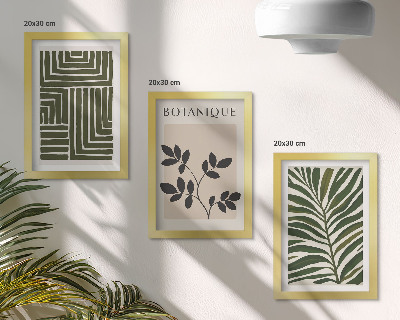 Juego de 3 cuadros decorativos Composiciones botánicas al estilo del minimalismo bohemio.