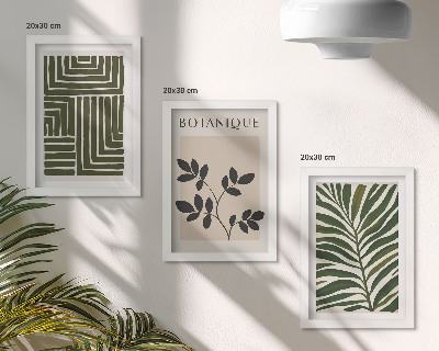 Juego de 3 cuadros decorativos Composiciones botánicas al estilo del minimalismo bohemio.