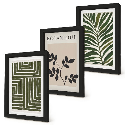 Juego de 3 cuadros decorativos Composiciones botánicas al estilo del minimalismo bohemio.