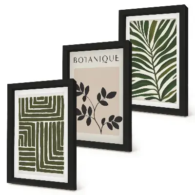 Juego de 3 cuadros decorativos composiciones botánicas al estilo minimalista bohemio
