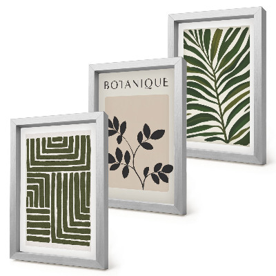 Juego de 3 cuadros decorativos Composiciones botánicas al estilo del minimalismo bohemio.