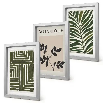 Juego de 3 cuadros decorativos composiciones botánicas al estilo minimalista bohemio