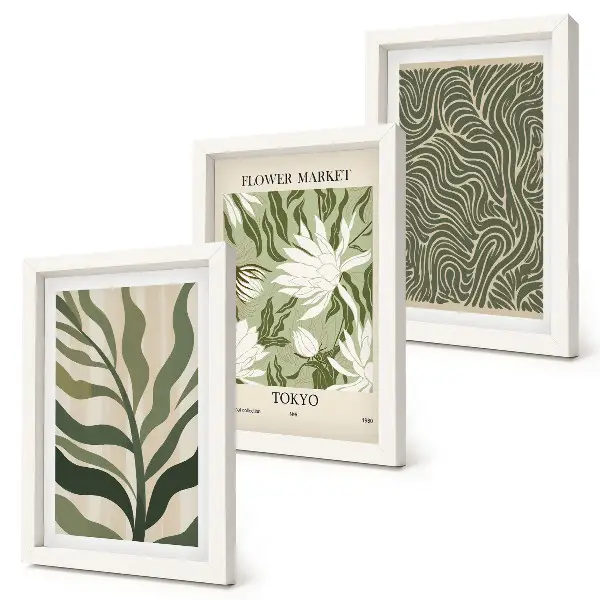 Juego de 3 cuadros decorativos con estampados botánicos de plantas en estilo bohemio