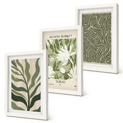 Juego de 3 cuadros decorativos con estampados botánicos de plantas en estilo bohemio