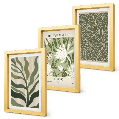 Juego de 3 cuadros decorativos con estampados botánicos de plantas en estilo bohemio