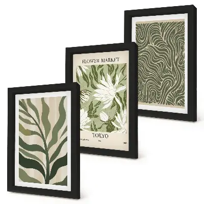 Juego de 3 cuadros decorativos con estampados botánicos de plantas en estilo bohemio