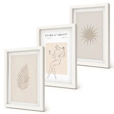 Juego de 3 cuadros decorativos con una colección de formas minimalistas y naturales