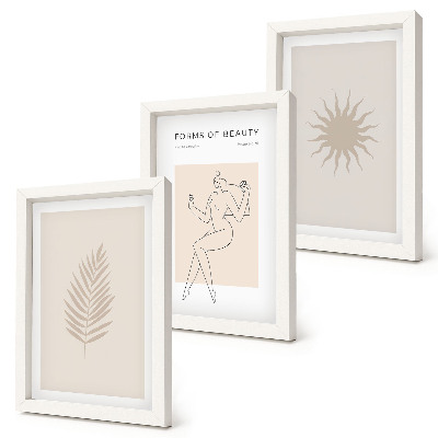 Juego de 3 cuadros decorativos Una colección de formas minimalistas y formas naturales.