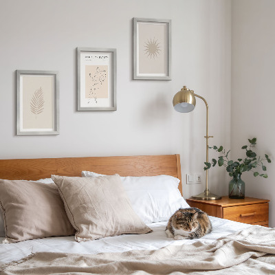Juego de 3 cuadros decorativos Una colección de formas minimalistas y formas naturales.