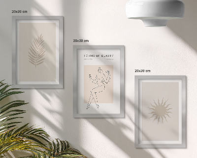 Juego de 3 cuadros decorativos Una colección de formas minimalistas y formas naturales.