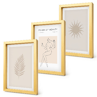 Juego de 3 cuadros decorativos Una colección de formas minimalistas y formas naturales.