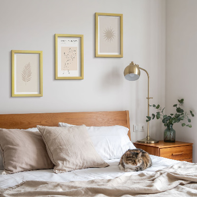 Juego de 3 cuadros decorativos Una colección de formas minimalistas y formas naturales.