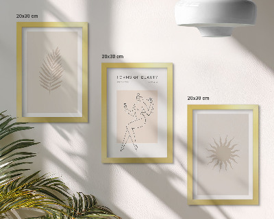 Juego de 3 cuadros decorativos Una colección de formas minimalistas y formas naturales.