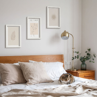 Juego de 3 cuadros decorativos Una colección de formas minimalistas y formas naturales.