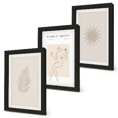 Juego de 3 cuadros decorativos con una colección de formas minimalistas y naturales