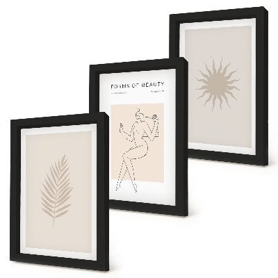Juego de 3 cuadros decorativos Una colección de formas minimalistas y formas naturales.