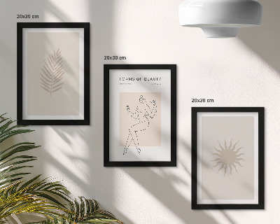 Juego de 3 cuadros decorativos Una colección de formas minimalistas y formas naturales.