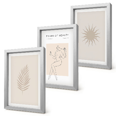Juego de 3 cuadros decorativos Una colección de formas minimalistas y formas naturales.