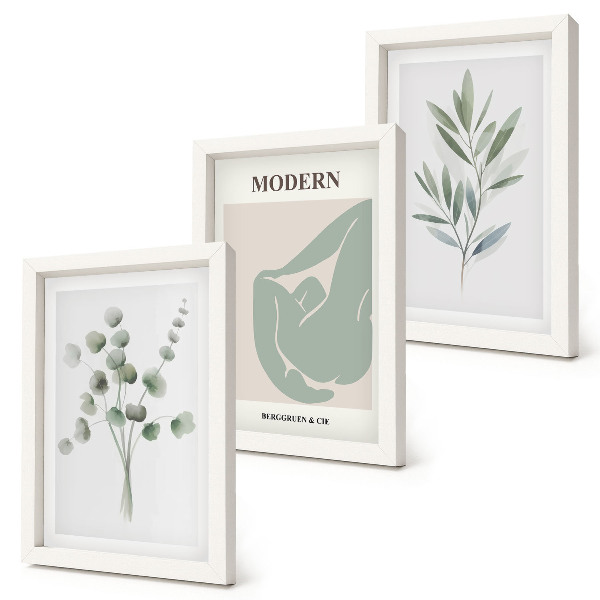 Juego de 3 cuadros decorativos Motivos vegetales en delicados tonos de verde.