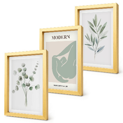 Juego de 3 cuadros decorativos Motivos vegetales en delicados tonos de verde.