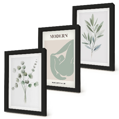 Juego de 3 cuadros decorativos Motivos vegetales en delicados tonos de verde.