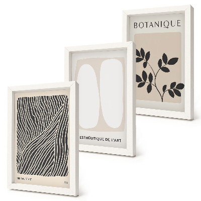 Juego de 3 cuadros decorativos Estampados florales y líneas minimalistas en colores neutros.