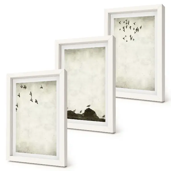 Juego de 3 cuadros decorativos bandada de pájaros en estilo minimalista
