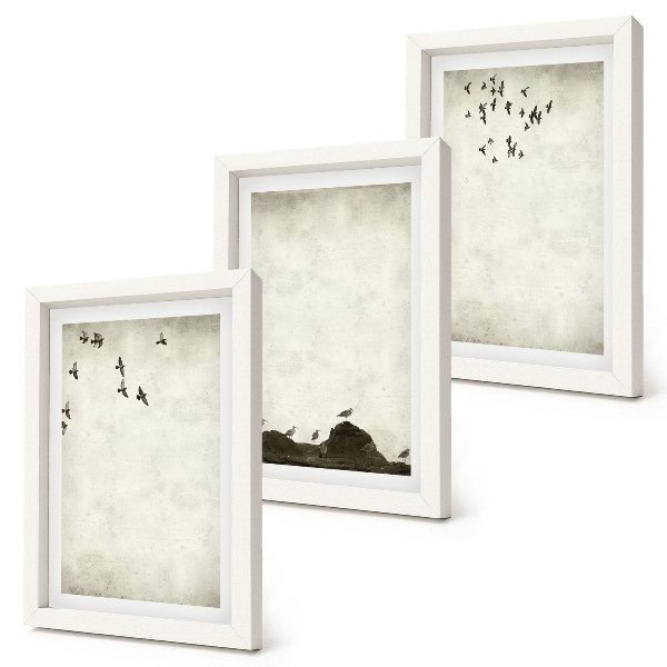 Juego de 3 cuadros decorativos Bandada de pájaros volando al estilo minimalista