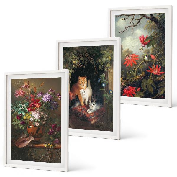 Set de 3 cuadros para salón Flores vintage, gatos, naturaleza
