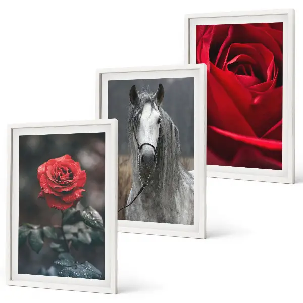 Juego de 3 cuadros diseño de rosas rojas y caballo en mundo gris