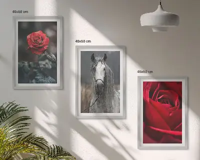 Juego de 3 cuadros diseño de rosas rojas y caballo en mundo gris