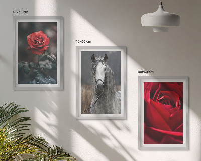Juego de 3 cuadros Rosas rojas caballo mundo gris