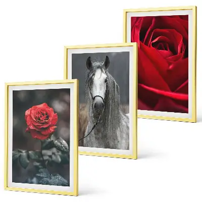 Juego de 3 cuadros diseño de rosas rojas y caballo en mundo gris