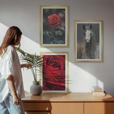 Juego de 3 cuadros Rosas rojas caballo mundo gris