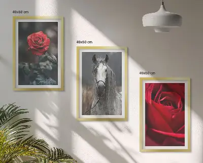 Juego de 3 cuadros diseño de rosas rojas y caballo en mundo gris
