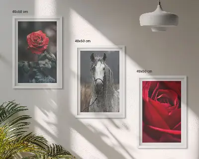 Juego de 3 cuadros diseño de rosas rojas y caballo en mundo gris