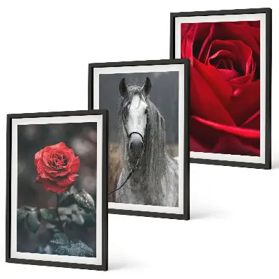 Juego de 3 cuadros diseño de rosas rojas y caballo en mundo gris