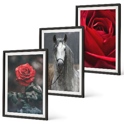 Juego de 3 cuadros Rosas rojas caballo mundo gris