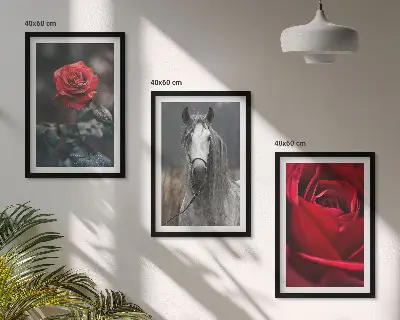 Juego de 3 cuadros diseño de rosas rojas y caballo en mundo gris