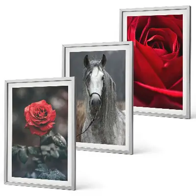 Juego de 3 cuadros diseño de rosas rojas y caballo en mundo gris