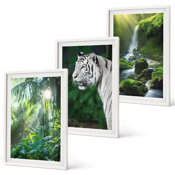 Set de 3 cuadros para salón diseño de cascada en la selva con tigre