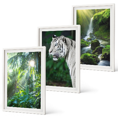 Set de 3 cuadros para salón Cascada del tigre de la jungla