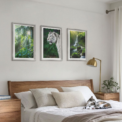 Set de 3 cuadros para salón Cascada del tigre de la jungla