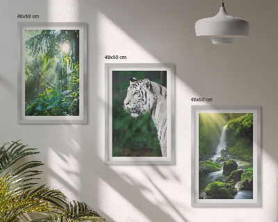 Set de 3 cuadros para salón Cascada del tigre de la jungla