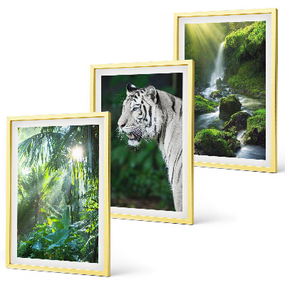 Set de 3 cuadros para salón Cascada del tigre de la jungla