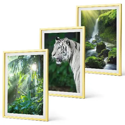 Set de 3 cuadros para salón diseño de cascada en la selva con tigre