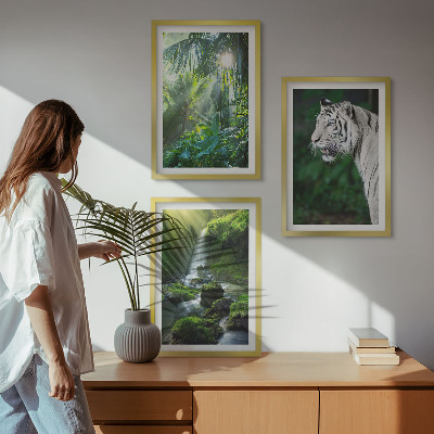 Set de 3 cuadros para salón Cascada del tigre de la jungla