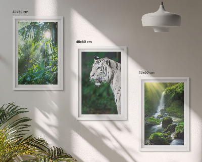 Set de 3 cuadros para salón Cascada del tigre de la jungla