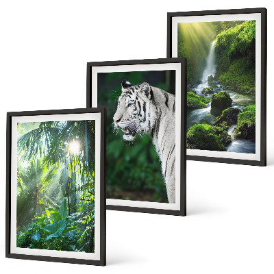 Set de 3 cuadros para salón Cascada del tigre de la jungla